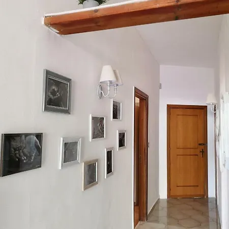Susy House