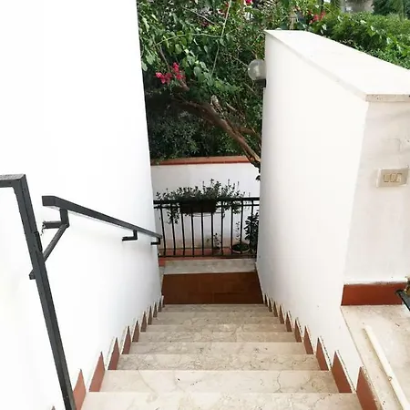 Susy House Palermo